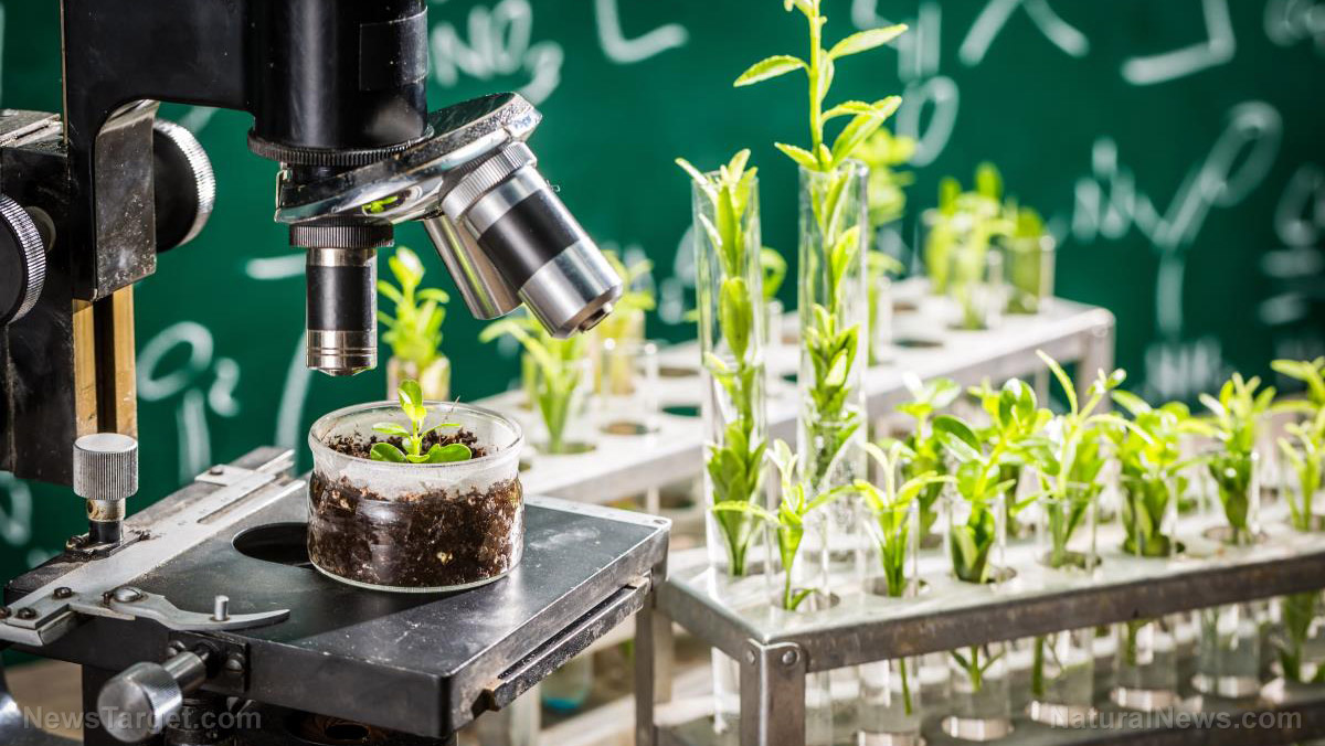 Science-Lab-Vials-Plants
